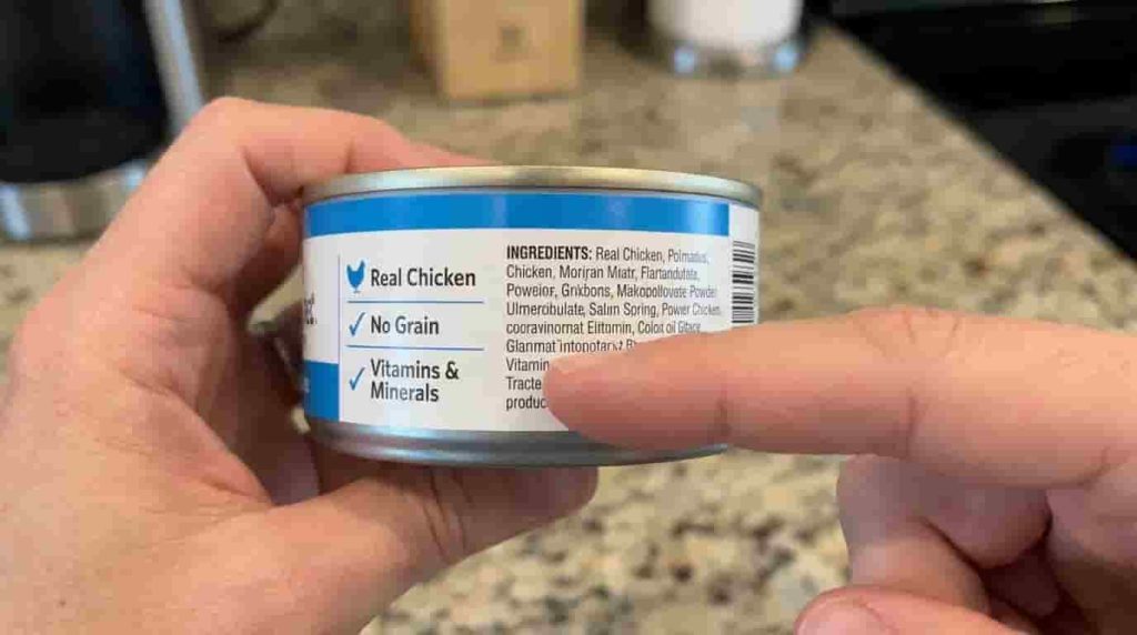 Commercial Wet Food vs Dry Kibble
