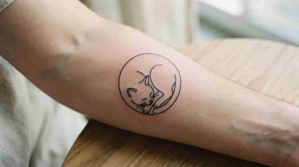 Two soft curves representing the back of a cat.