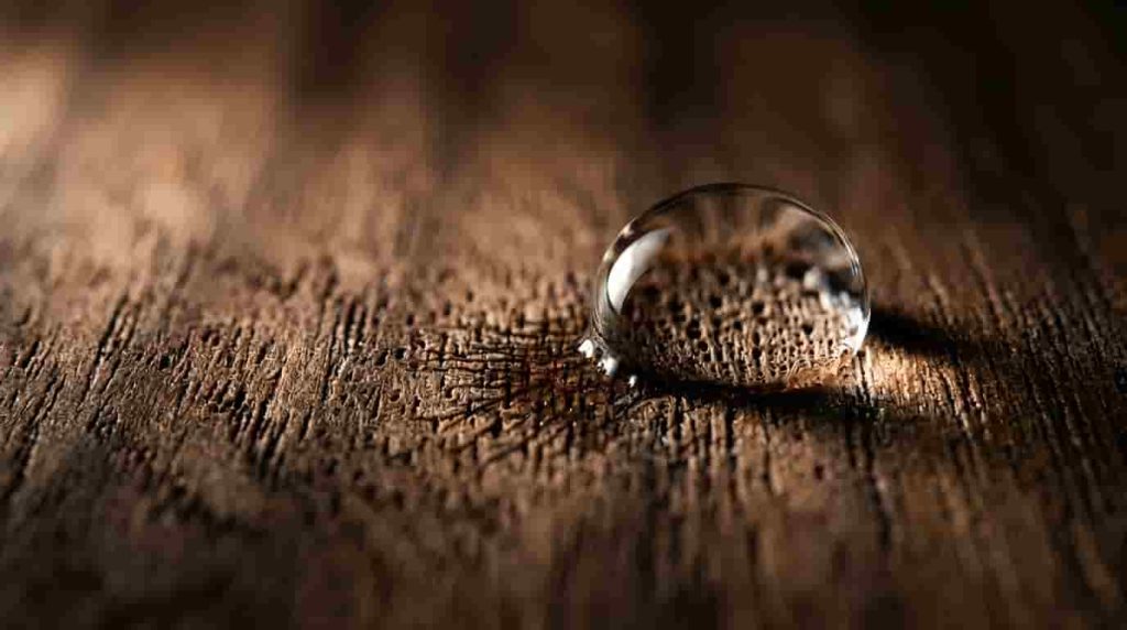 The Hidden Danger Facing Your Cat Wood Floor Finish